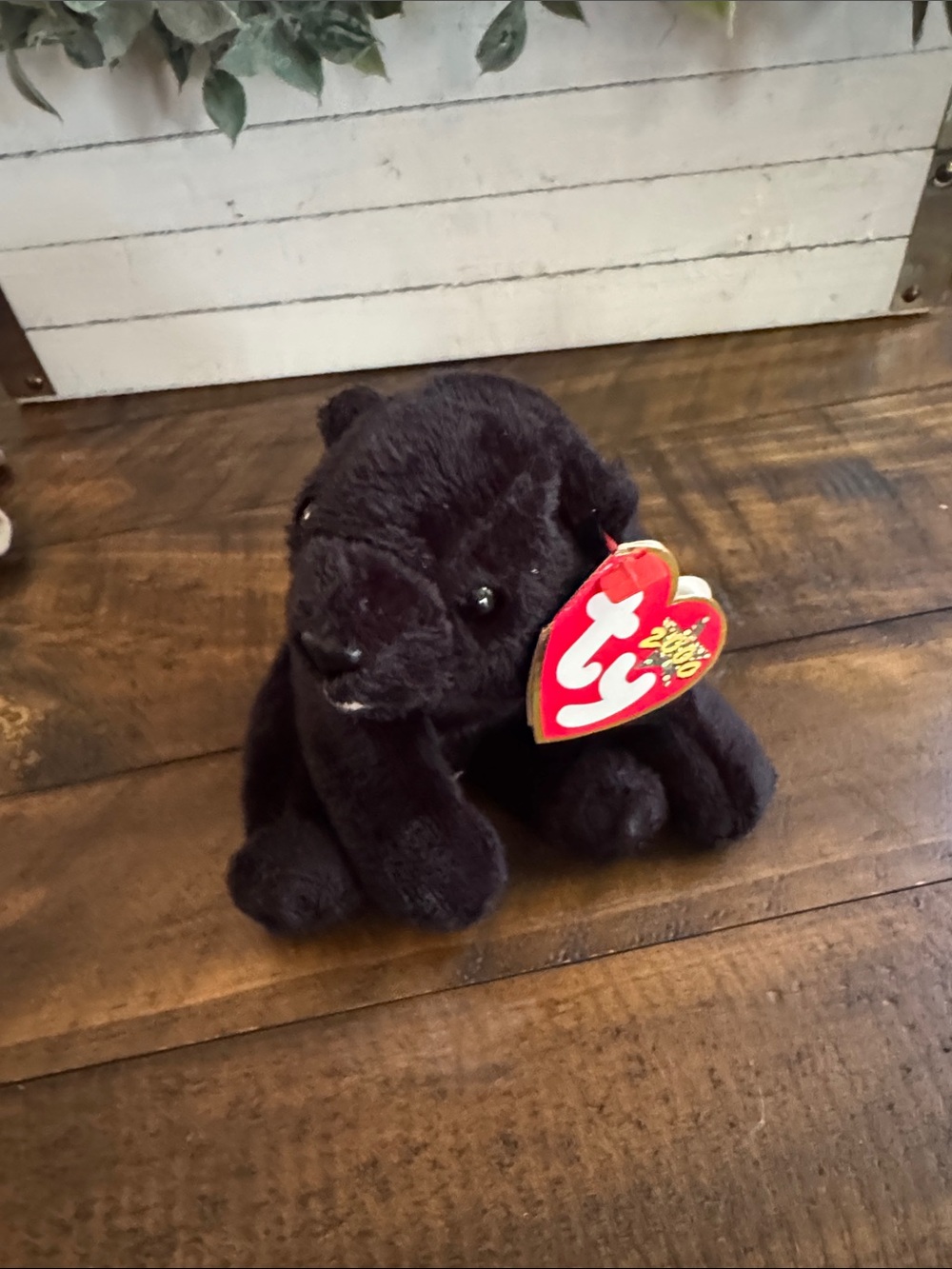 Beanie Baby - Ty “Cinders” Black Plush bear with Red Heart Tag